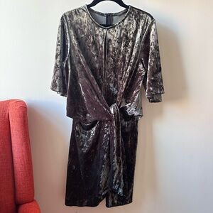 Zara Woman Velvet Quarter Sleeve Dress in Silver-Green Crushed Velour